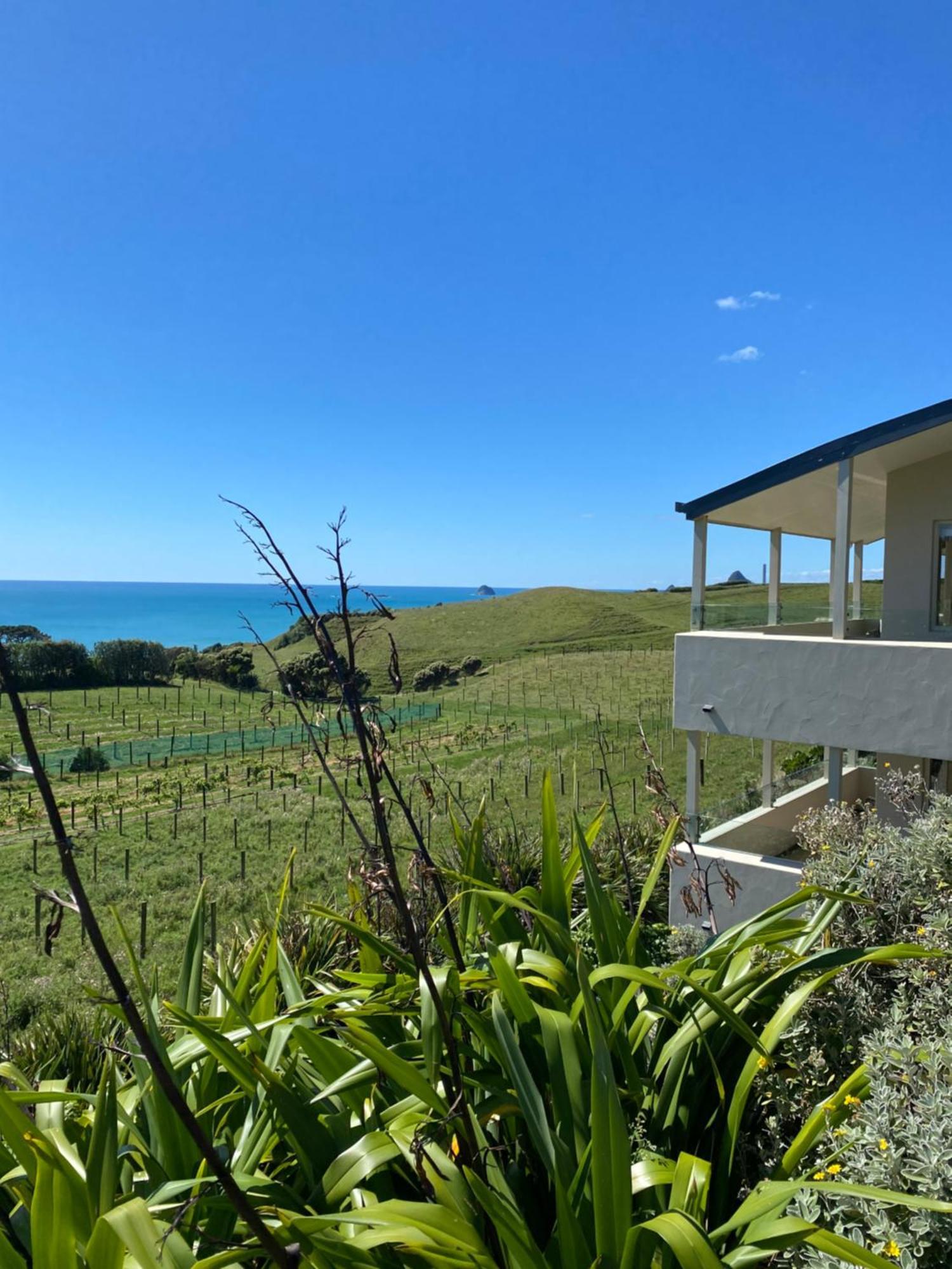 Chalets At Okurukuru New Plymouth Ngoại thất bức ảnh