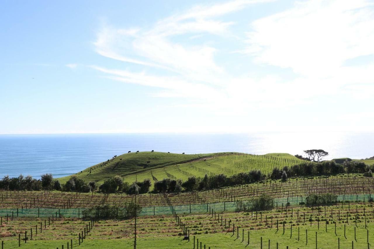 Chalets At Okurukuru New Plymouth Ngoại thất bức ảnh